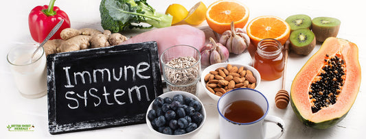 Best Foods To Boost The Immune System